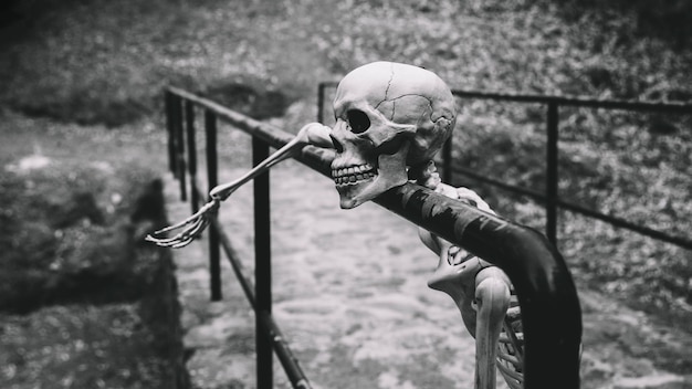 Artificial skeleton looking away resting on parapet