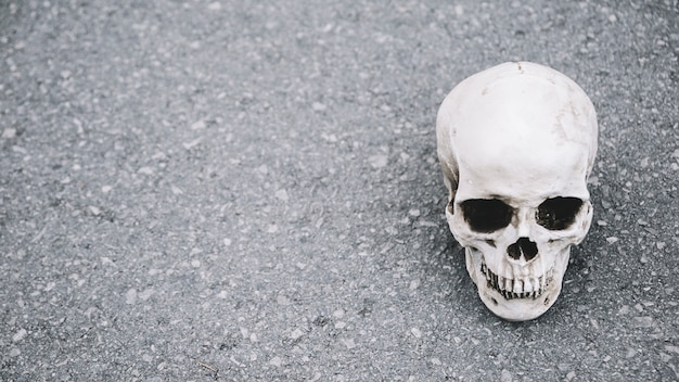 Artificial skull of man lying on asphalt on side