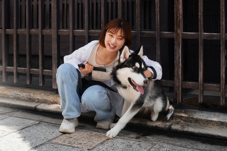 무료 Photo 야외에서 허스키 개를 산책시키는 아시아 여성