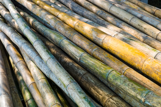 Free photo asian bamboo log