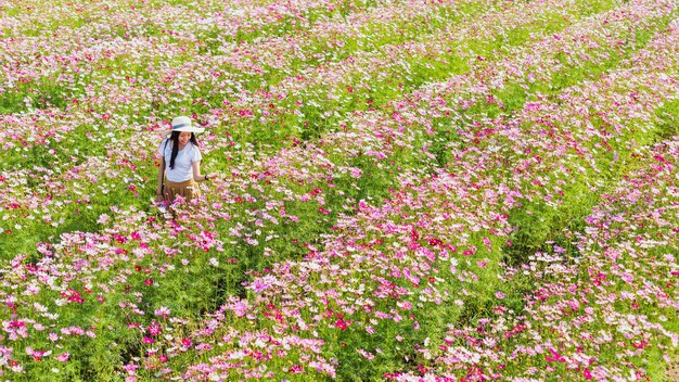 コスモスの花畑の風景の背景で歩いて写真を撮るアジアの旅行者の男性 タイで夏の季節の旅行の概念 プレミアム写真 コスモスの花畑の風景の背景で歩いて写真を撮るアジアの旅行者の男性 タイで夏の季節の旅行の概念 プレミアム写真