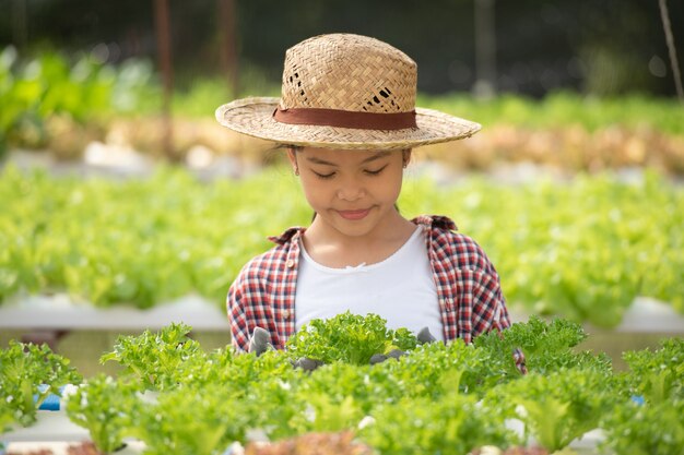 수경법을 들고 아시아 아이. 야채를 수확하는 온실에서 어린 소녀입니다. salad.hydroponic 가정 심기와 농업을 가진 아이. 젊은 여성 원예 잎이 많은 야채. 농업.