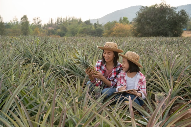 アジアの農家は、母と娘に農場でのパイナップルの成長を見てもらい、データをクリップボードの農家のチェックリストに保存します。農業産業の概念