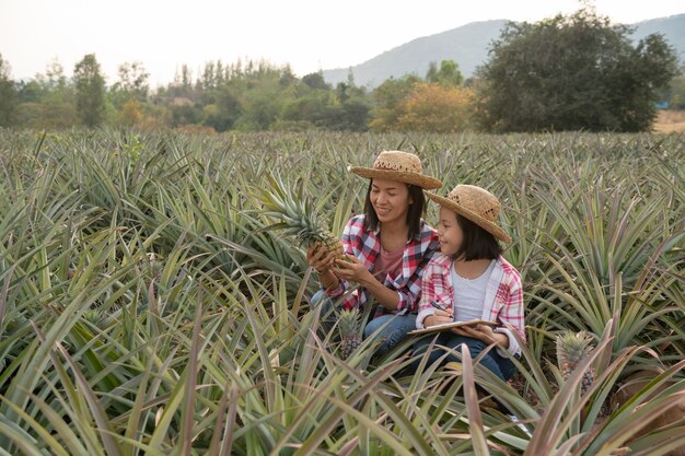 아시아 농부는 어머니와 딸이 농장에서 파인애플의 성장을보고 클립 보드, 농업 산업 개념의 농부 확인 목록에 데이터를 저장합니다.