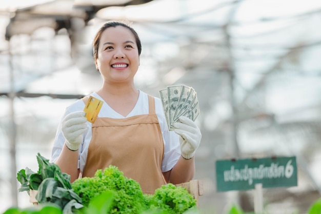 Donna asiatica dell'agricoltore che lavora nella fattoria idroponica di verdure organiche. proprietario dell'orto di insalata idroponica che controlla la qualità della verdura nella piantagione di serre.