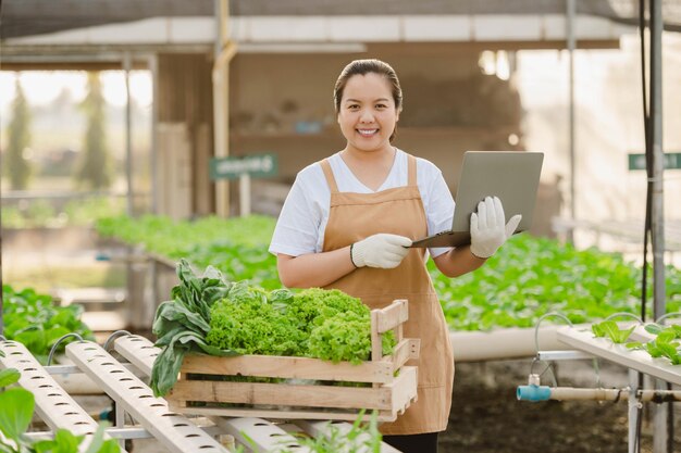 유기농 야채 수경 농장에서 노트북으로 일하는 아시아 농부 여성. 온실 농장에서 야채의 품질을 확인하는 수경 샐러드 정원 소유자.