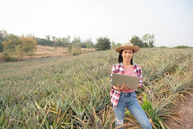 Asian female farmer see growth of pineapple in farm, agricultural Industry, agriculture business concept.