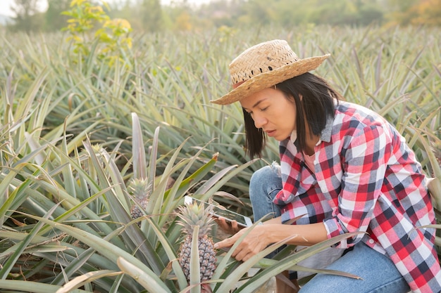 アジアの女性農家は、農場でパイナップルの成長を見ています。農業産業、農業ビジネスの概念。
