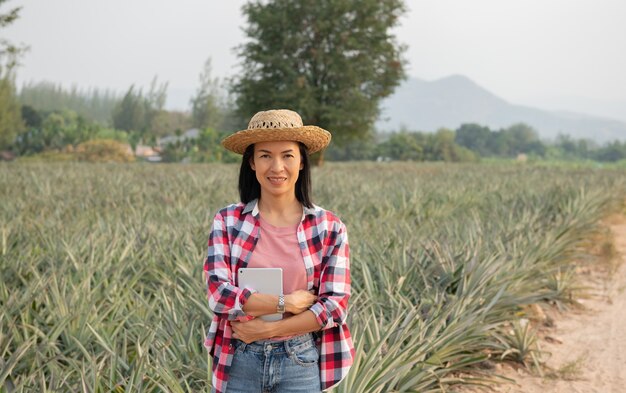 아시아 여성 농부는 농장에서 파인애플의 성장을보고 있습니다. 농업 산업, 농업 사업 개념.