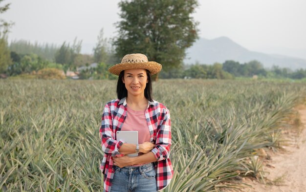 Asian female farmer see growth of pineapple in farm. agricultural Industry, agriculture business concept.