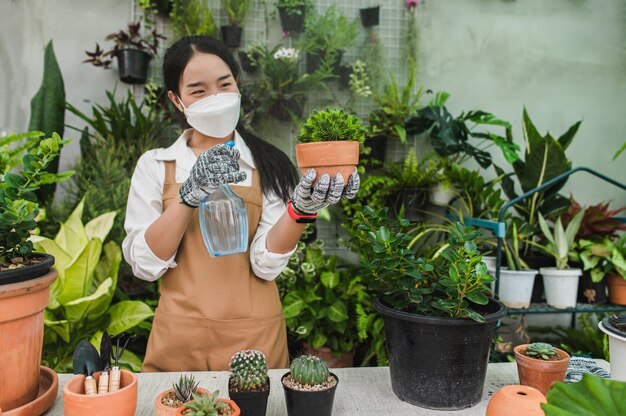 Asian gardener woman wearing face mask and apron holding spray to watering green houseplant in hand