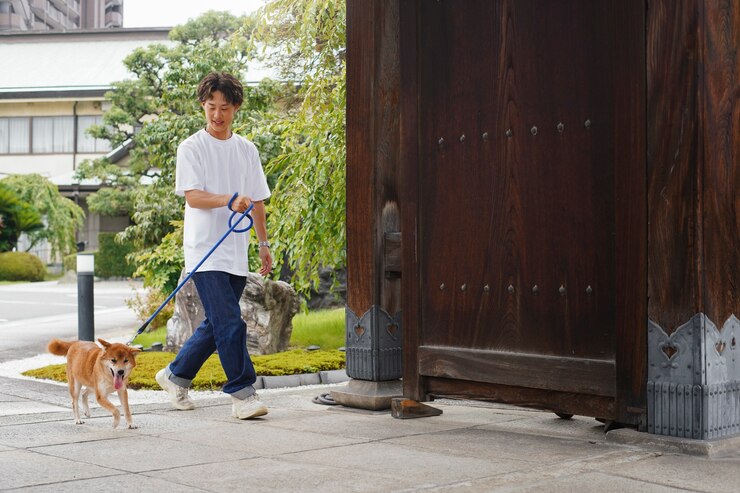 免費 Photo 亞洲男人和他的 shiba inu 狗在戶外