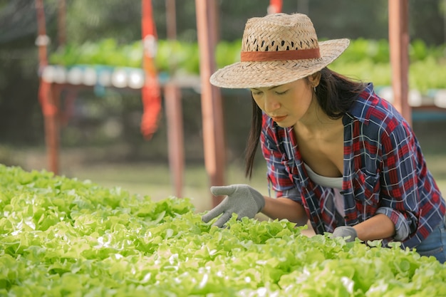 Free photo asian  woman farmers working in vegetables hydroponic farm with happiness. portrait of woman farmer checking quality of green salad vegetable with smile in the green house farm.