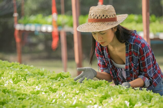 Азиатские женщины-фермеры, работающие на овощной гидропонной ферме с счастьем. Портрет женщины-фермера, проверяющей качество зеленого салата с улыбкой на ферме зеленого дома.