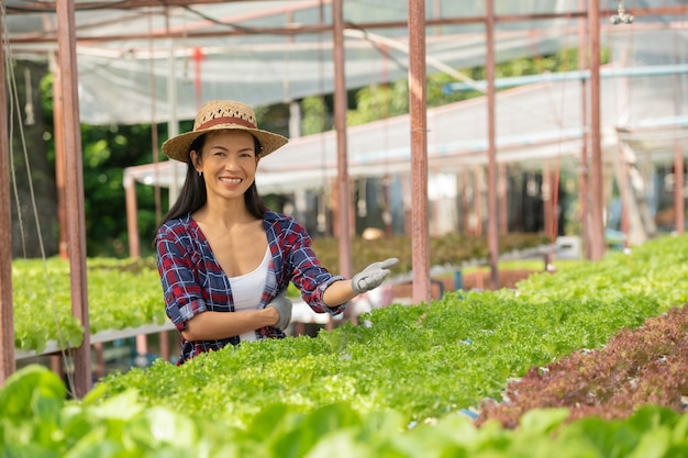 幸せそうに野菜の水耕栽培で働くアジアの女性農家。グリーンハウス農場で、グリーンサラダ野菜の品質を笑顔でチェックする女性農家のポートレート。