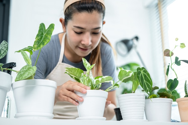 캐주얼 옷을 입은 아시아 여성 정원사, 취미 활동을 하는 동안 집에 있는 새 화분에 식물을 이식한 후 식물을 돌보는 가정 정원 개념