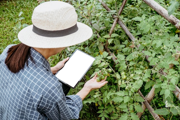 Foto gratuita donna asiatica che studia piante diverse con un tablet