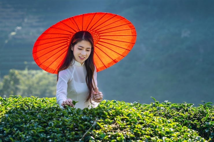 Free Photo asian woman wearing vietnam culture traditional in green tea field.