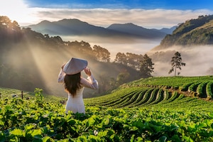 Asian woman wearing vietnam culture traditional in strawberry garden on doi ang khang , chiang mai, thailand.