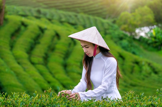 茶畑で伝統的なベトナム文化を身に着けているアジアの女性