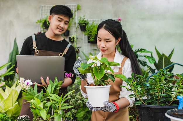 앞치마를 입은 아시아 젊은 정원사 부부는 정원 장비와 노트북 컴퓨터를 사용하여 온실에서 집 식물을 연구하고 돌봅니다.