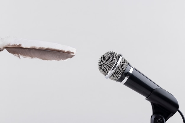 Asmr microphone with feather for sound