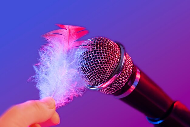 Asmr microphone with feather for sound