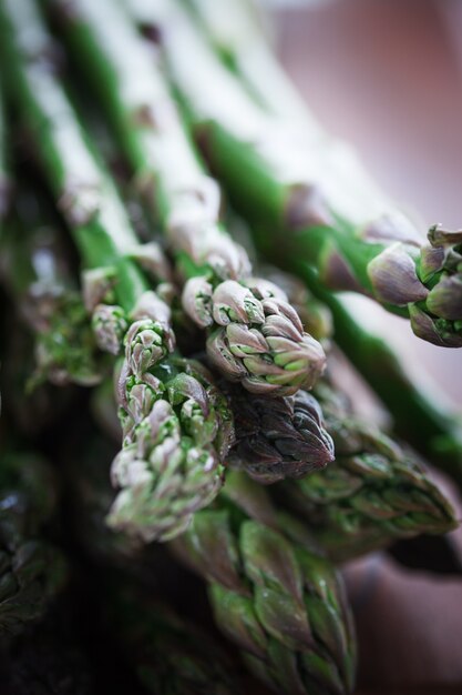 Asparagus close