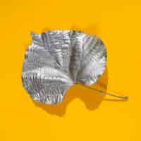 Free photo aspen leaf dyed in silver water paint