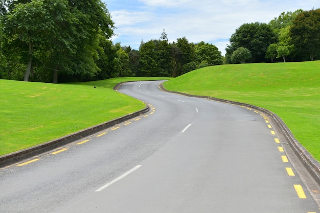 Free photo asphalt road on a bright green hill with trees during daylight