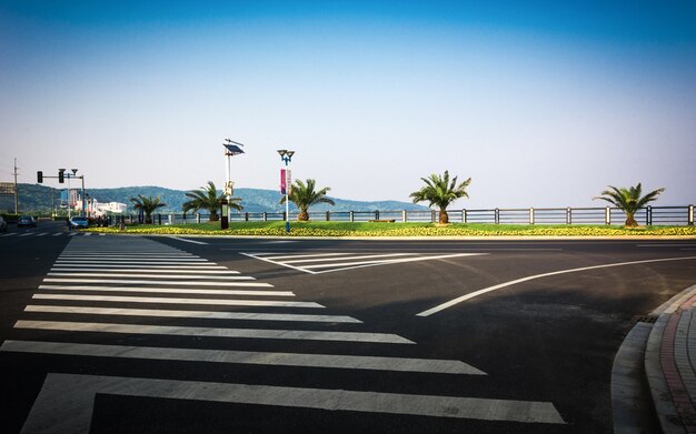 アスファルト道路と森林