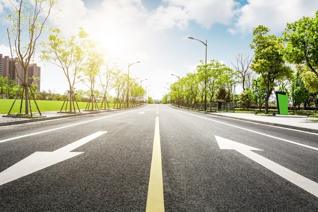 アスファルト道路と森林