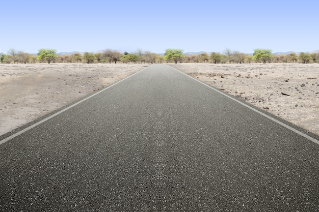 Asphalt road with tree and drought land with a blue sky background