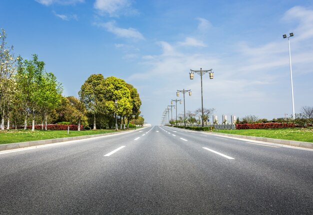 Asphalt road with trees and lampposts