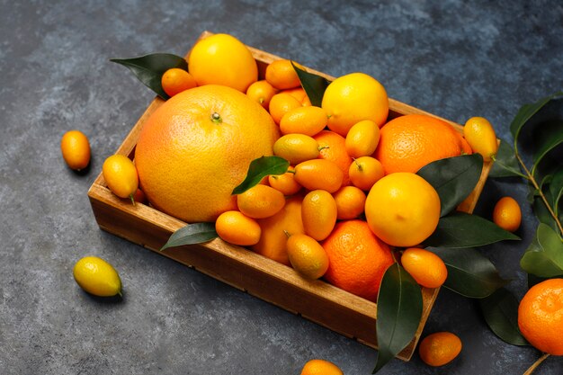 ассорти из свежих цитрусовых в корзине для хранения продуктов, лимоны, апельсины, мандарины, кумкваты, грейпфрут, вид сверху