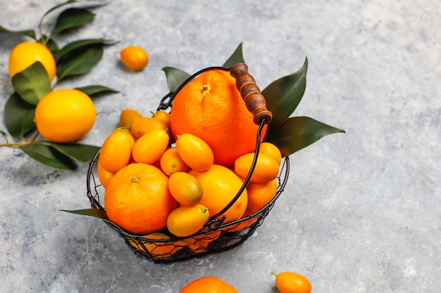 ассорти из свежих цитрусовых в корзине для хранения продуктов, лимоны, апельсины, мандарины, кумкваты, вид сверху