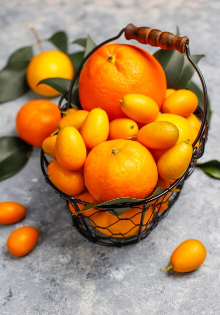 ассорти из свежих цитрусовых в корзине для хранения продуктов, лимоны, апельсины, мандарины, кумкваты, вид сверху
