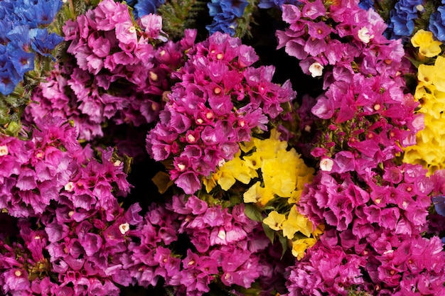 Assortment of beautiful flowers background