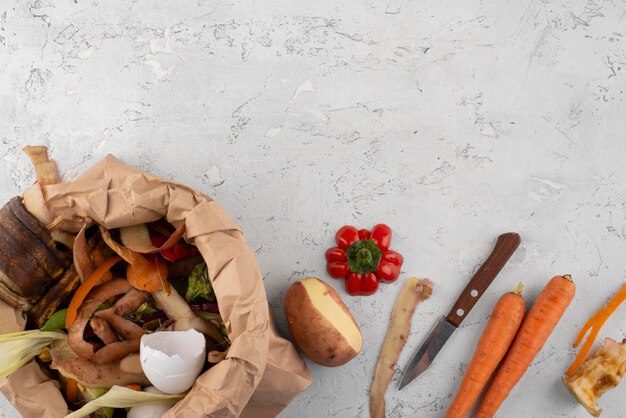 Assortment of compost made of rotten food with copy space