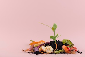 Assortment of compost made of rotten food with copy space