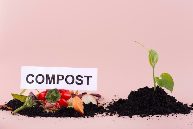 Assortment of compost made of rotten food with copy space