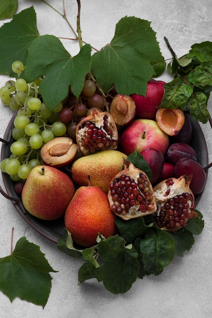 Assortment of delicious autumn fruits