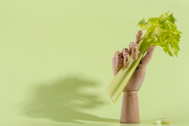 おいしい新鮮な野菜の品揃え