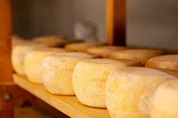 Assortment of delicious rustic cheese