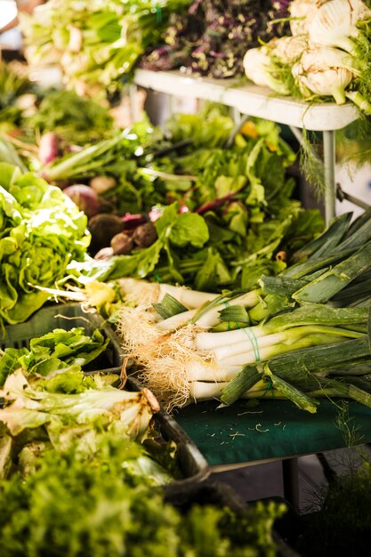 Assortment of fresh organic green vegetables for sale in local market