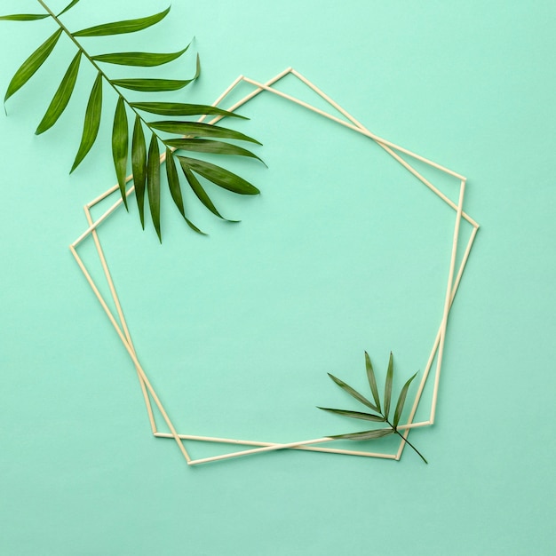 Assortment of green leaves with empty frame