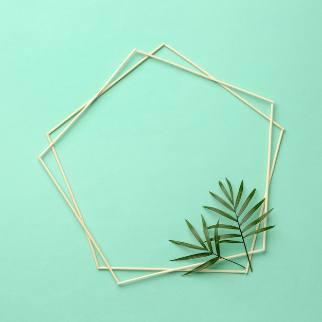 Assortment of green leaves with empty frame