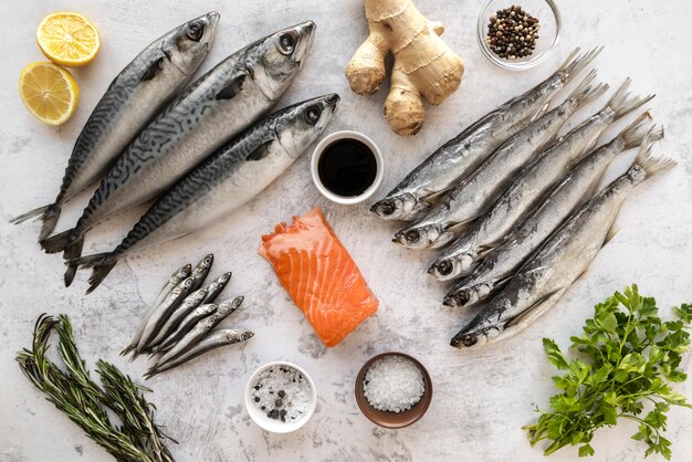 Assortment of healthy sea food