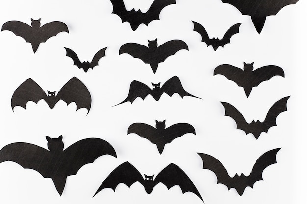Assortment of paper bats decoration 