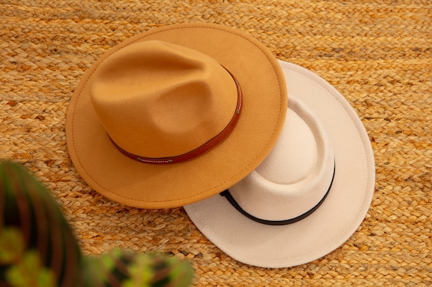 Free photo assortment of stylish fedora hats